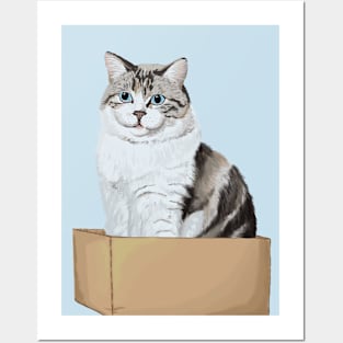 Box Kitty Posters and Art